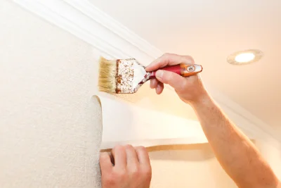 Pose de papier peint à Herrère — revêtements muraux et toiles de verre